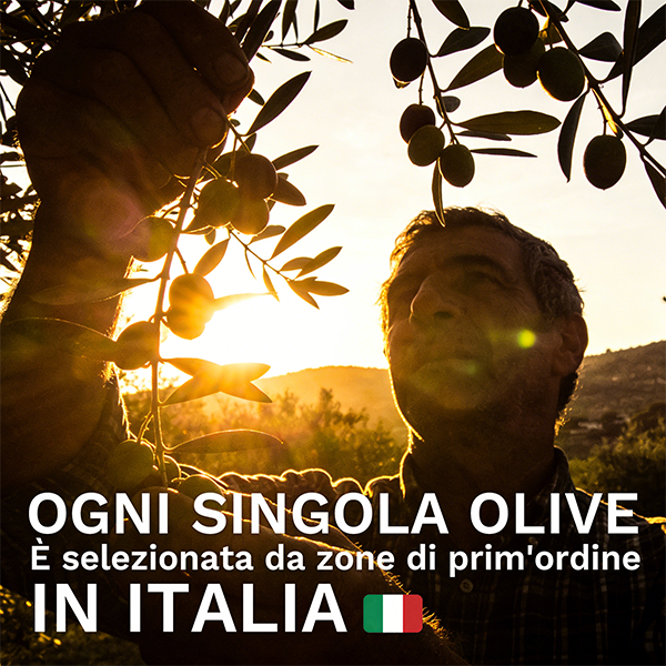 Olio extravergine di oliva non filtrato 5L – 100% Italia