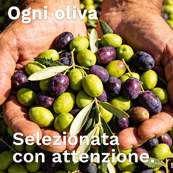 Olio extravergine di oliva non filtrato 5L – 100% Italia