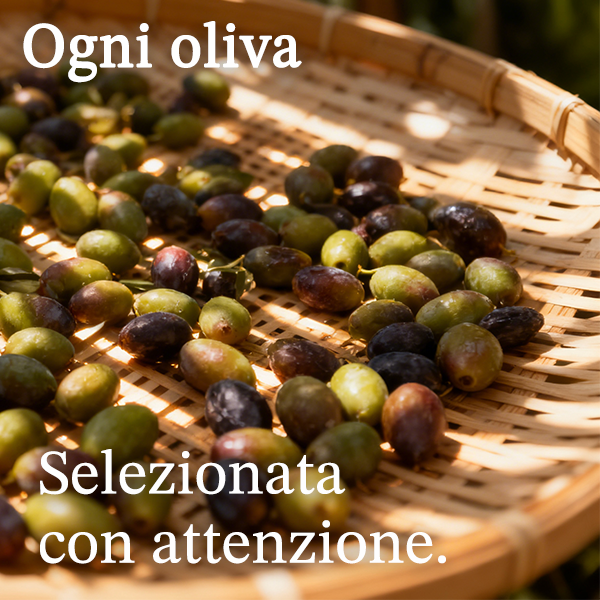 Marchesi Valentini Olio Extra Vergine di Oliva 3L
